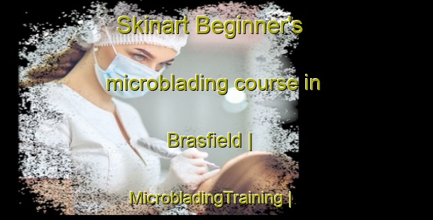 Skinart Beginner's microblading course in Brasfield | MicrobladingTraining | MicrobladingClasses | SkinartTraining-United States